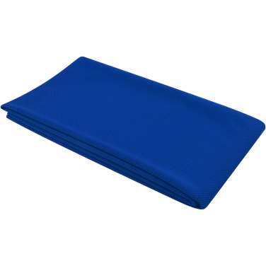 Logotrade promotional merchandise image of: Althea sport towel 70x140 cm